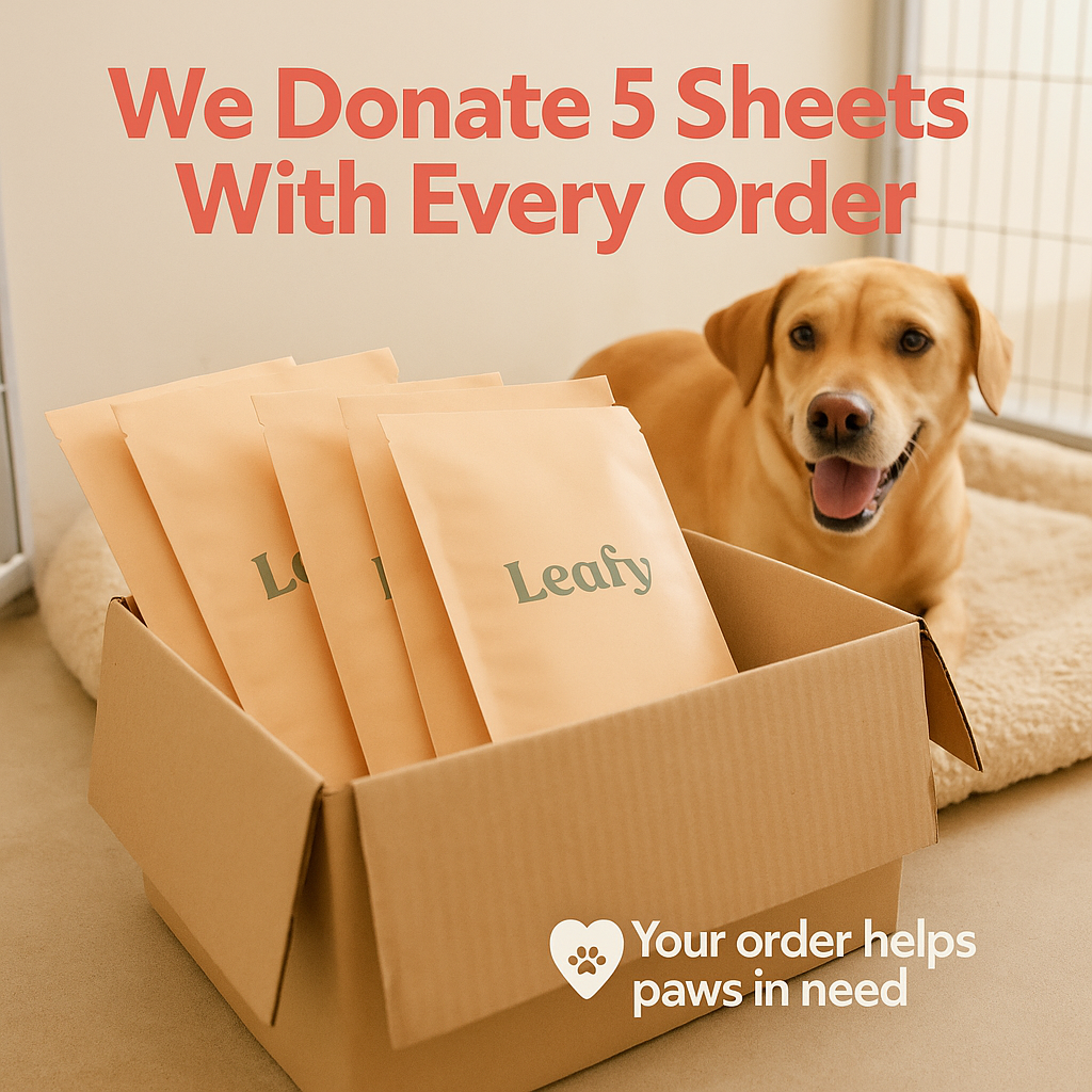 Save up to 20% OFF + 4 FREE GIFTS